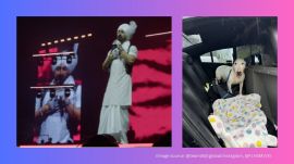 Top 5 viral videos today