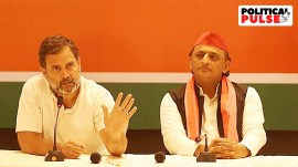 congress, india, allies