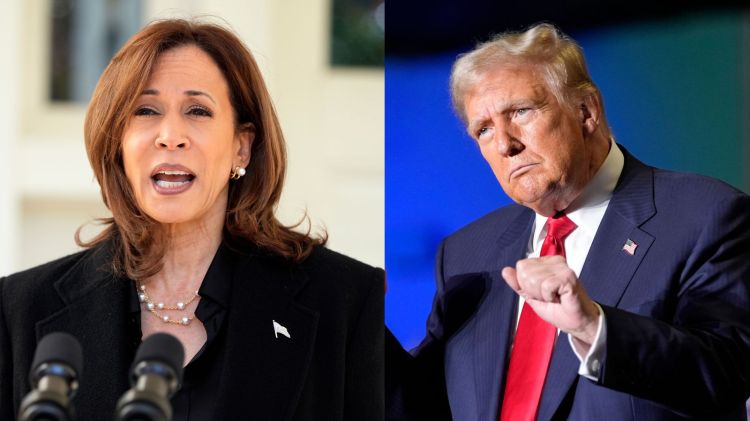  Trump and Harris successful  2024 polls