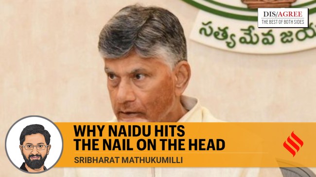 Andhra Pradesh Chief Minister N. Chandrababu Naidu.