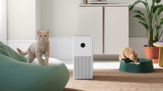 Air Purifiers