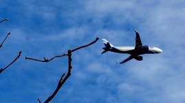 airlines hoax bomb, indian express