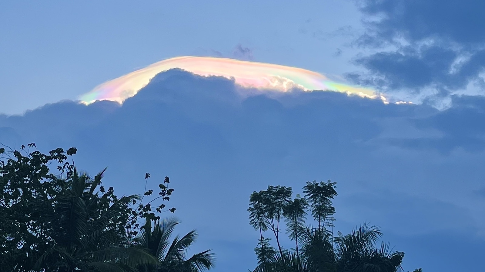 Comet C/2023 A3 lights up the Bengaluru sky, dazzles spectators