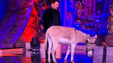 bigg boss 18 donkey