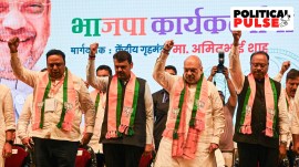 Maharashtra elections BJP Mahayuti MVA
