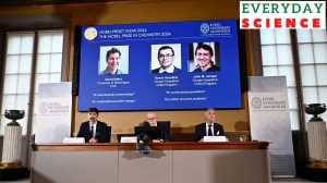 Chemistry Nobel 2024 out: What exactly have the winners done, why it matters