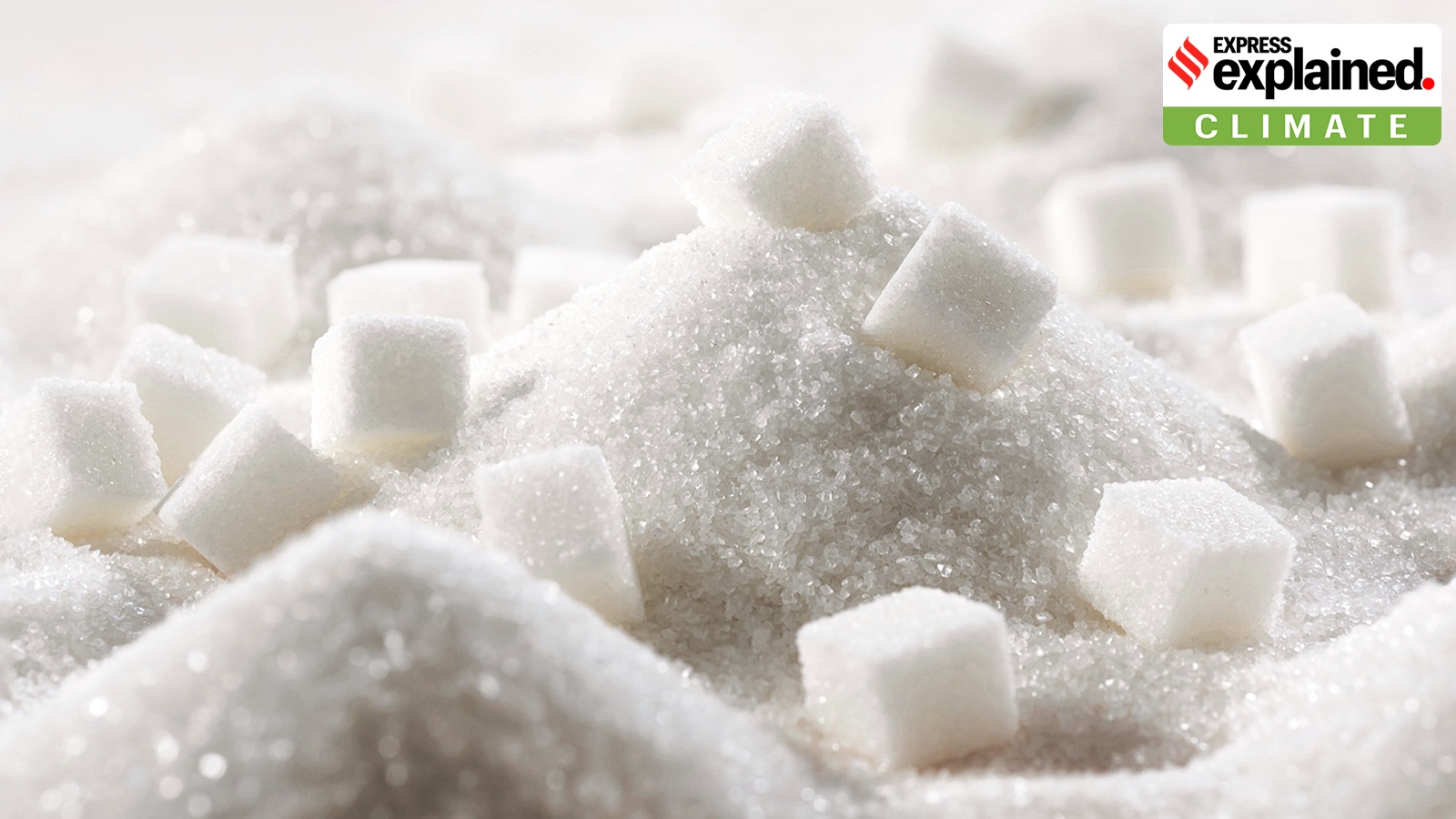 Why farm distress may be less of a poll issue in Maharashtra