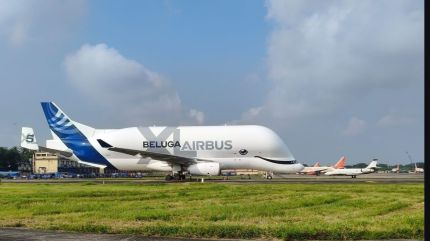 beluga xl airbus