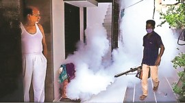 vector-borne diseases, dengue spike, domestic breeding checkers, equal pay, regularisation of jobs, malaria, MCD Workers’ union, MCD 15-day notice, Municipal Corporation of Delhi, MCD warned, Indian express news