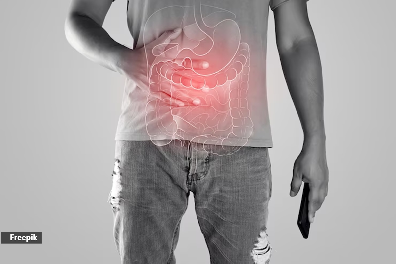 The gut microbiome plays a important  relation   successful  digestion.