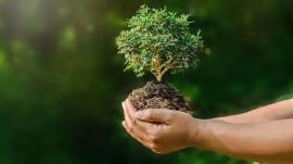 The Rules were notified to keep it in line with existing sustainability and environmentally friendly practices and with the Environment Ministry's Mission LIFE (Lifestyle for Environment), which promotes sustainable consumption.