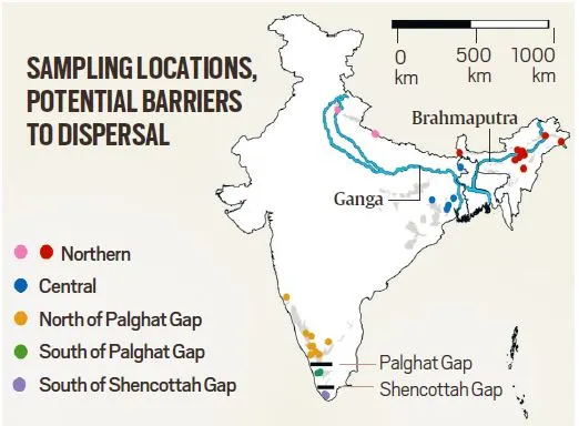 elephant population, amerind  elephant numbers, elephant census, asiatic  elephant population, andhra familial  diversity, elephants migration, elephant colonisation  familial  diversity, amerind  express, existent   affairs