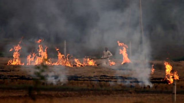 Punjab workplace  fires