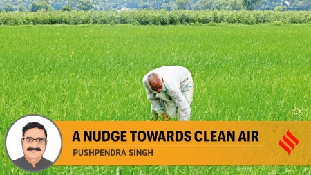 harvest paddy, paddy, paddy crop, paddy season, Paddy procurement, harvest paddy manually, editorial, Indian express, opinion news, indian express editorial