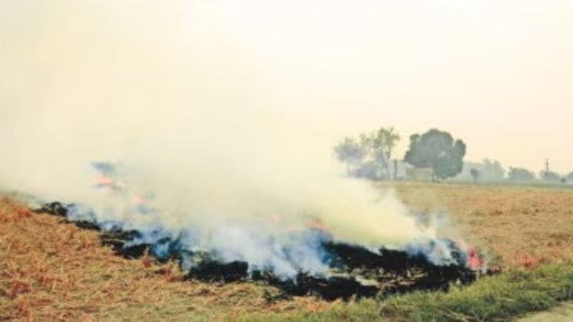 stubble burning