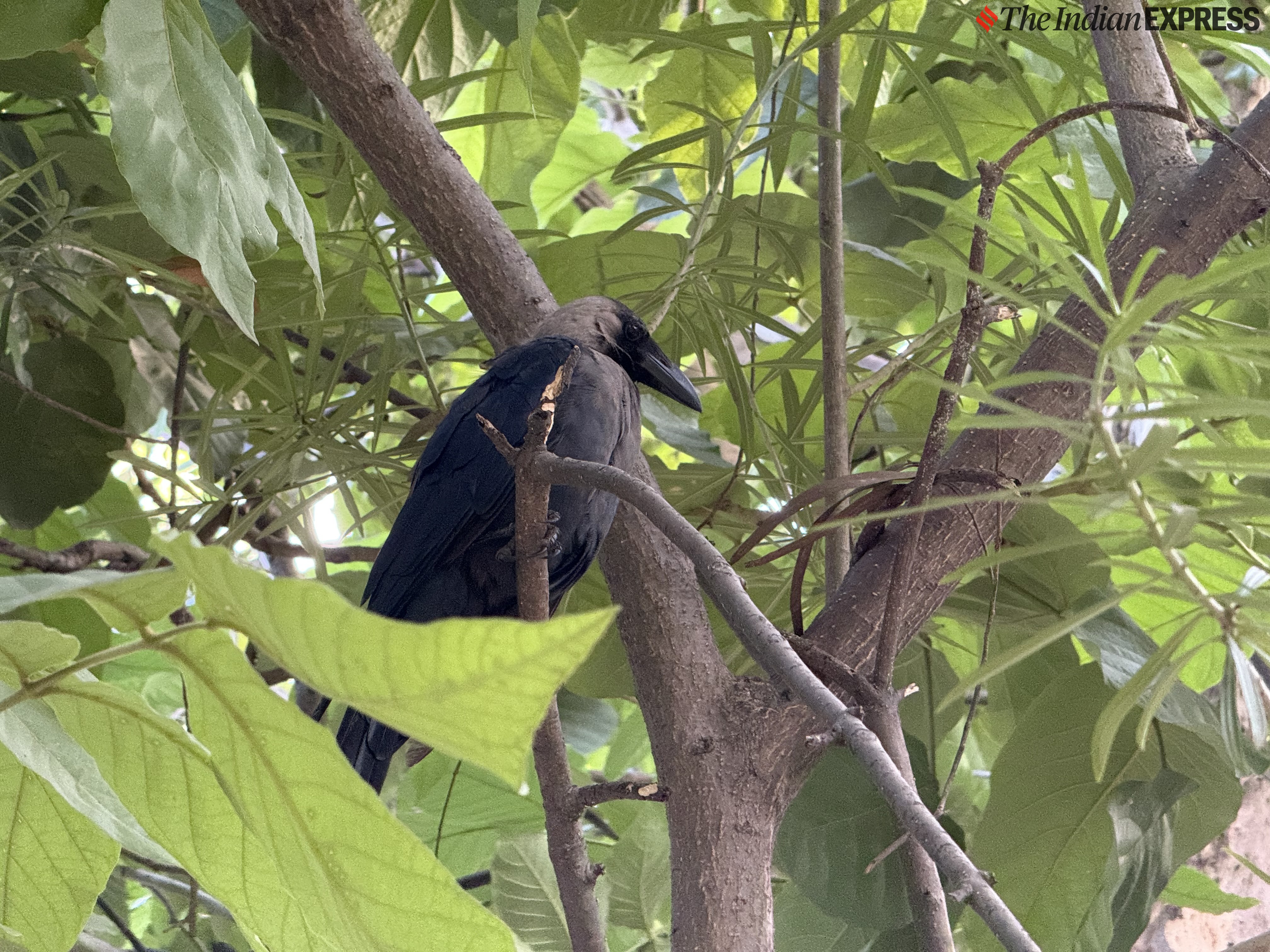 iPhone 16 Pro camera sample