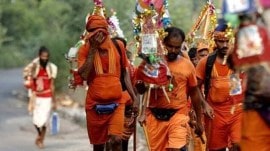 Kanwar Marg, NGT aerial survey order, ngt drone survey, illegal tree felling, upper ganga canal, uttar pradesh, Indian express news