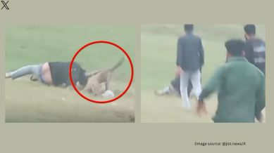 Leopard attacks group of picnickers in Madhya Pradesh (Image source: @jist.news/X)