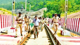 Madhya Pradesh wildlife department, Madhya Pradesh tigers dead, Madhya Pradesh leopards dead, Madhya Pradesh bear dead, Madhya Pradesh, Indian express news, current affairs