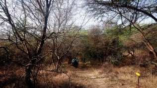 Google Maps led me astray, says Meitei man who returned after abduction; Manipur DGP begins talks for release of 2 others