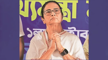 Mamata Banerjee, Bengal CM appeals, Bengal flood, Durga Puja, bengal durga puja news, Bengal flood relief package, north bengal, south bengal, food items, Indian express news