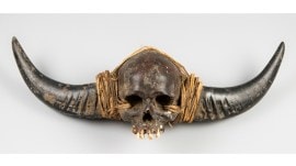 nagaland skull
