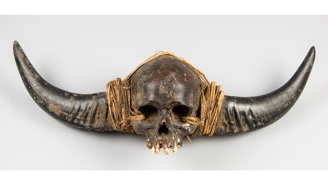 nagaland skull