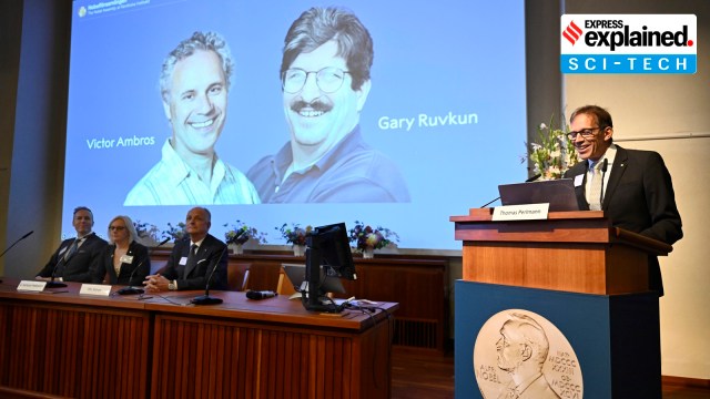 nOBEL pRIZE