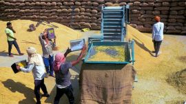 The Punjab government's delay in notifying the Fortified Rice Kernels Milling Policy, from the usual November 15, 2023 to January 21, 2024, resulted in a two-and-a-half-month stall in rice milling.