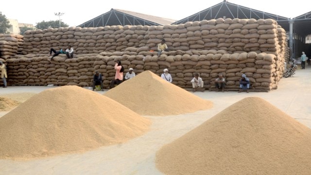 paddy procurement