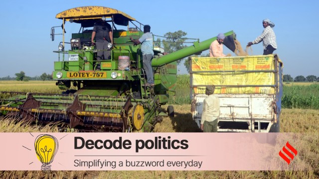 paddy, punjab government, indian express, political pulse