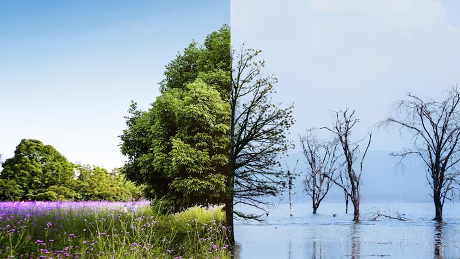 Seasonal change can affect people’s moods — and their moral values