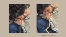 Local wildlife rescuer revives unconscious snake with CPR