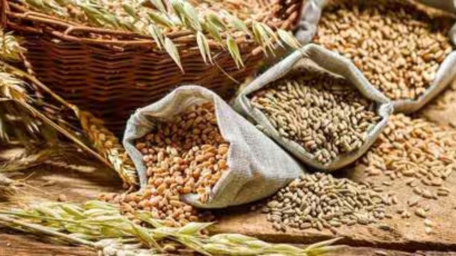 Centre increases MSP for rabi crops for 2025-26, wheat sees 6% hike | India News - The Indian Express