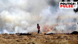 stubble burning
