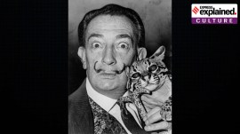 surrealism Dali and surrealism