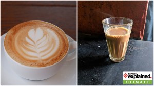 Explained: What is more eco-friendly, having tea or coffee