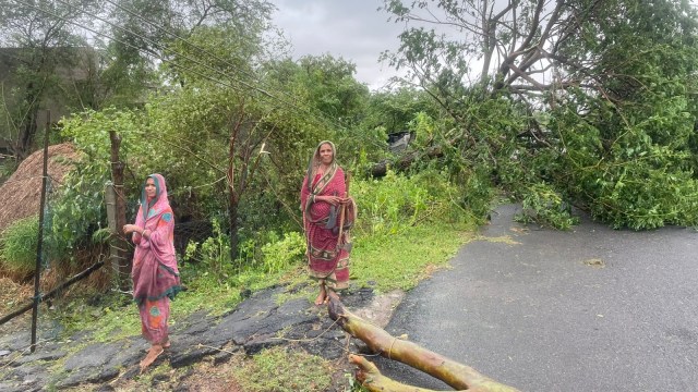  In the aftermath of terrible  cyclonic tempest  making landfall successful  Odisha, respective  trees person  been uprooted.