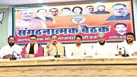 delhi assembly elections, delhi polls preparations, Congress, AAP, BJP door-to-door campaign, Waqf (Amendment) Bill, Delhi elections, muslim community, propaganda, google search, Indian express news