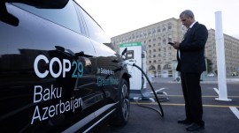 COP29 summit