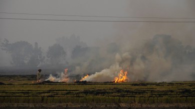 stubble burning