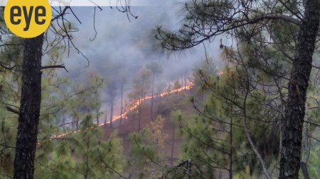 Once the mountains were places we fled to. now we see pine forests crackling and exploding