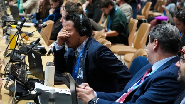 COP29 Climate Summit