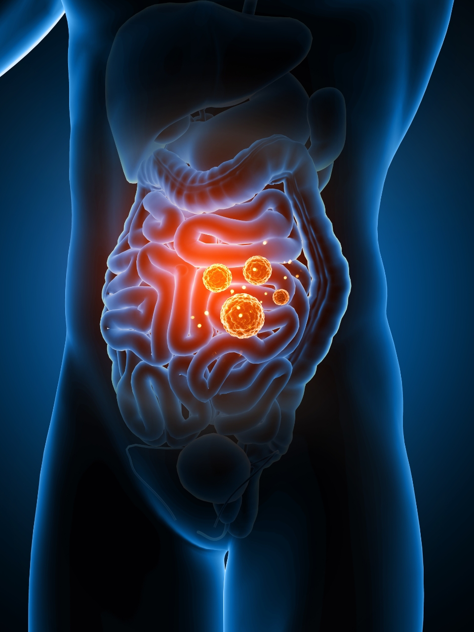 Understanding the link between inflammation and weight gain
