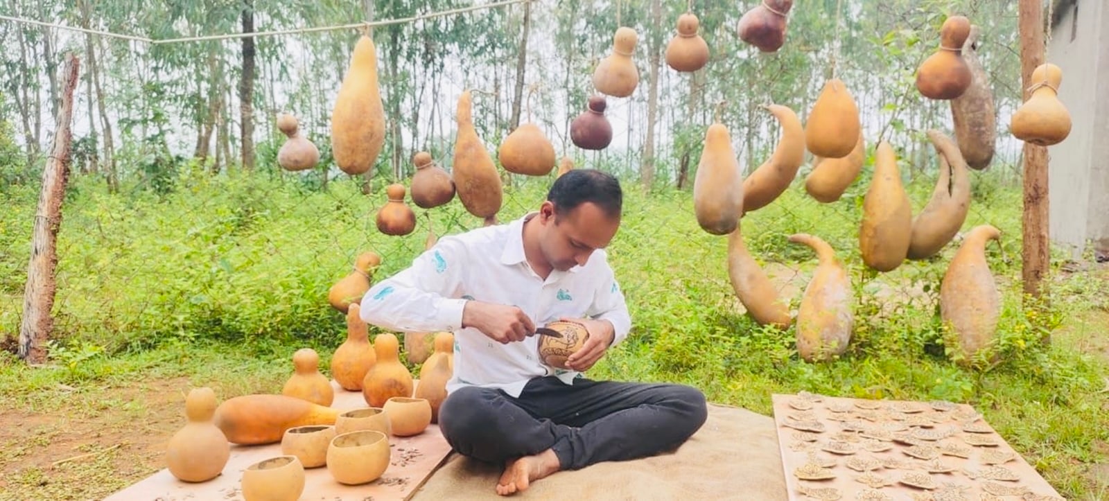gourd
