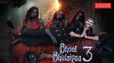 Bhool Bhulaiyaa 3 box office collection day 4