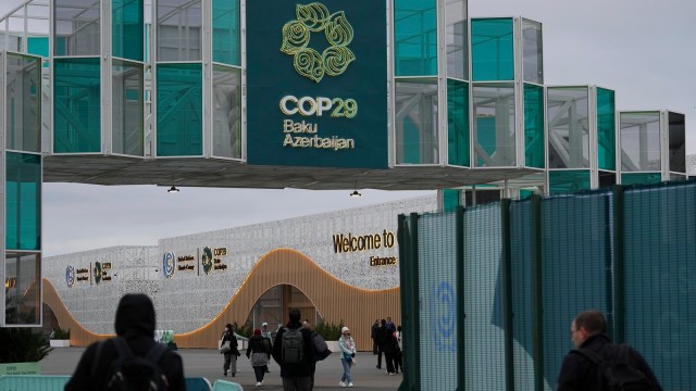 COP29