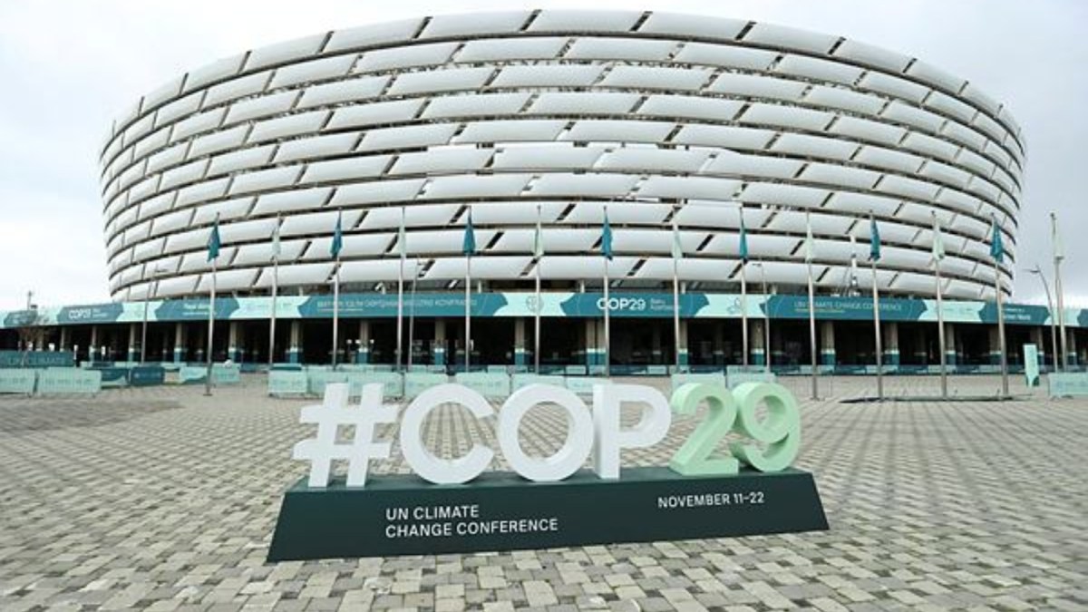 COP29
