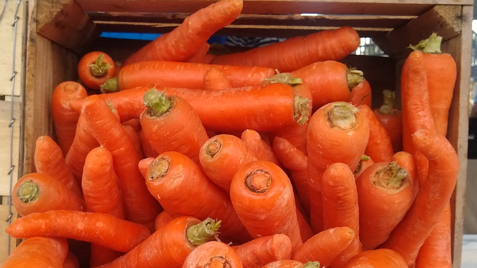 Organic Carrots Recalled In US After Dozens Fall Sick, 1 Person Dies ...