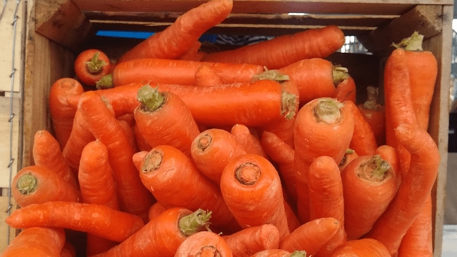 Carrots e coli outbreak successful  US